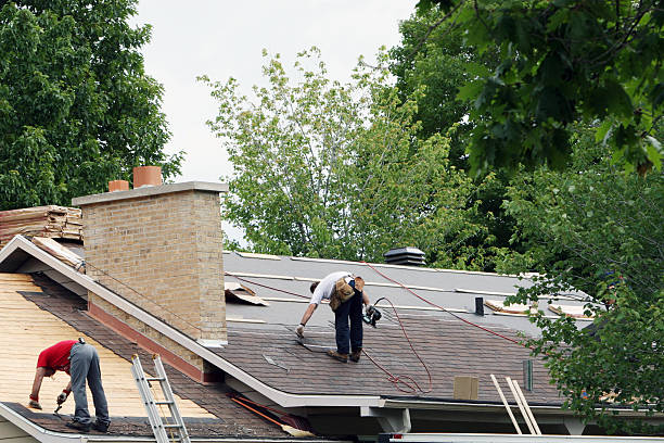 Professional Roofing Contractor in Lawrenceburg, TN